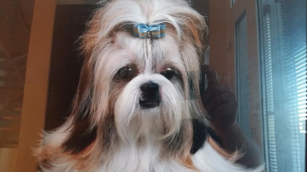 author photo