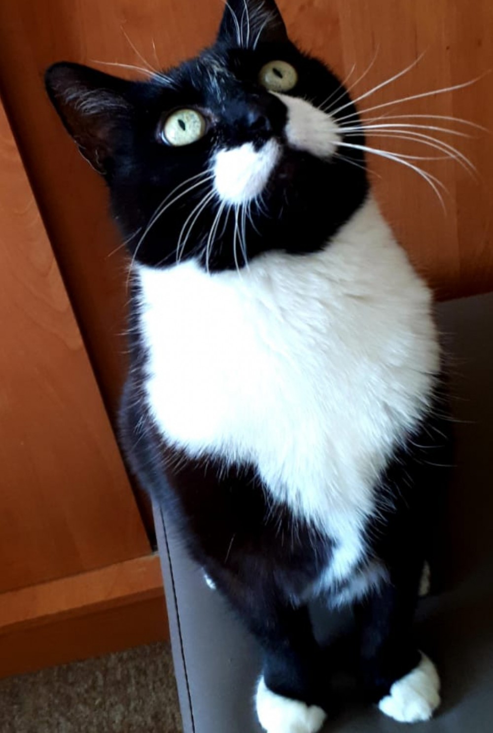 author photo