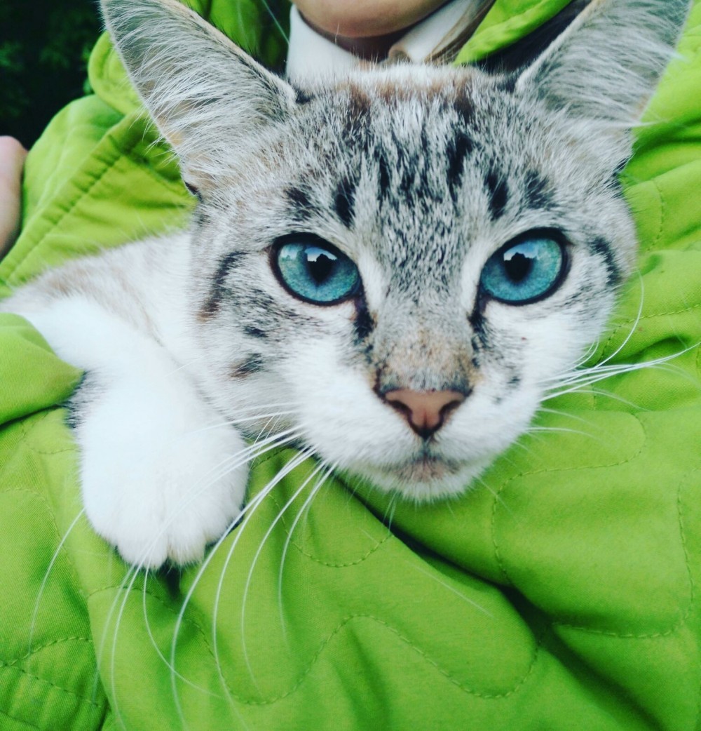 author photo