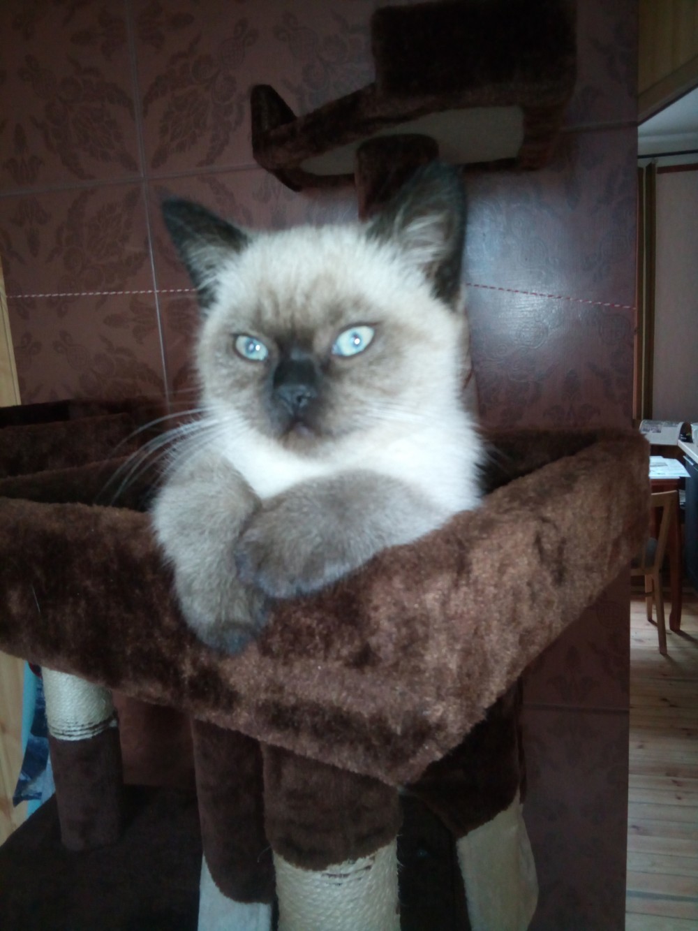 author photo